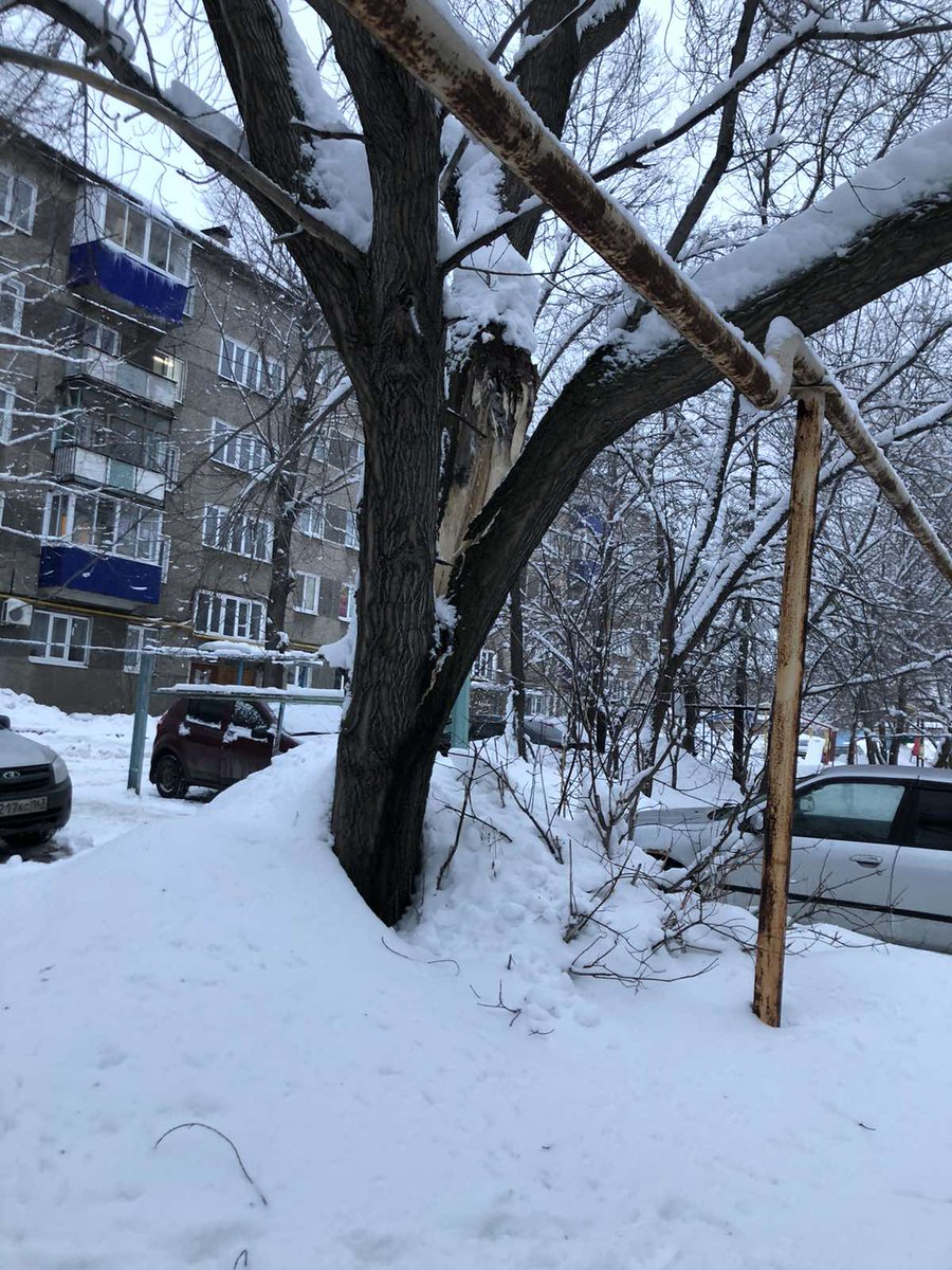 Александр Лапченков tweet media