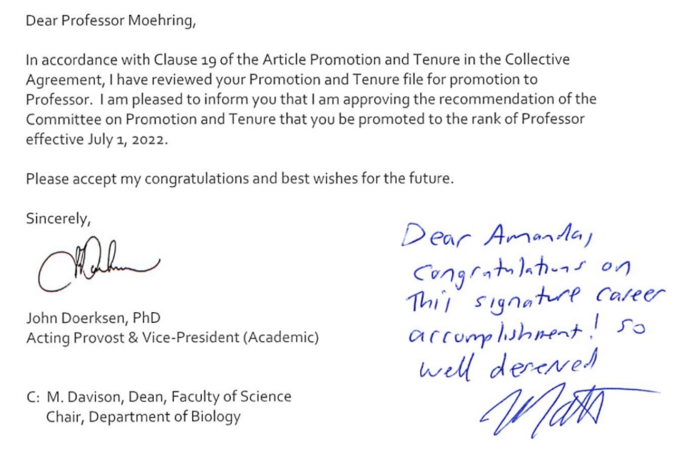 Dr Amanda Moehring tweet media