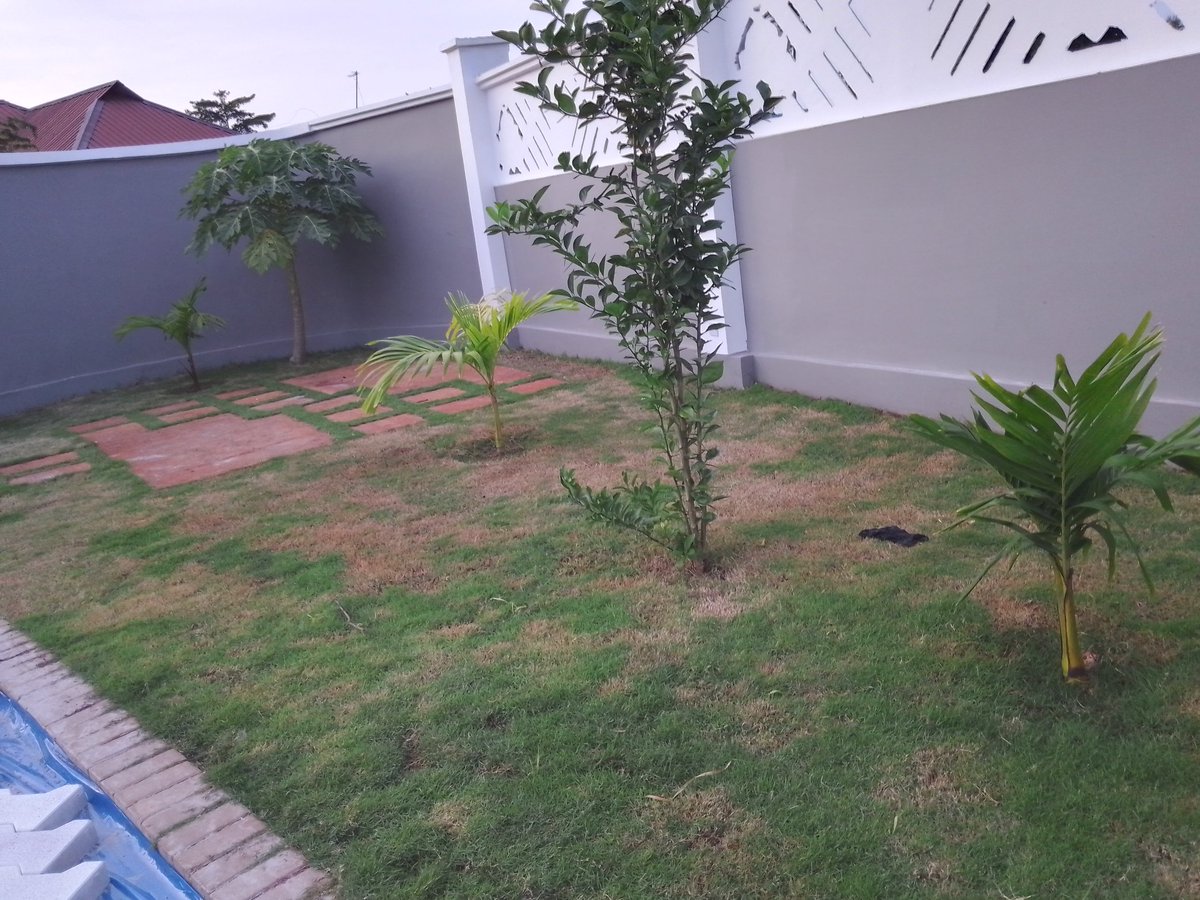 BChinyodi's tweet photo. Garden dezaina na tunafanya Reviews scepinger tunapanga peving ukiniitaji kwa ushauli zaidi piga no 0686335830 0764933766 0714550785 https://t.co/6NGiWmfoNE