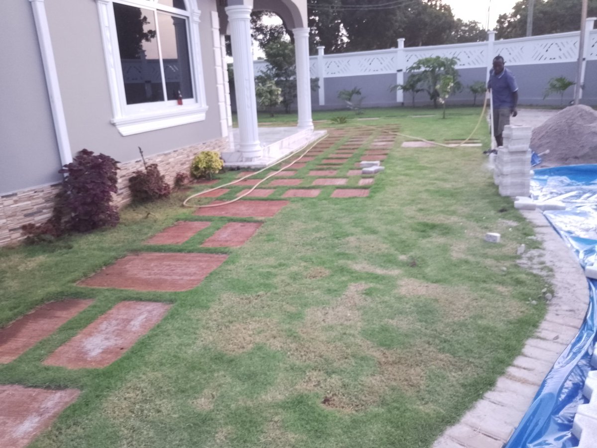 BChinyodi's tweet photo. Garden dezaina na tunafanya Reviews scepinger tunapanga peving ukiniitaji kwa ushauli zaidi piga no 0686335830 0764933766 0714550785 https://t.co/6NGiWmfoNE