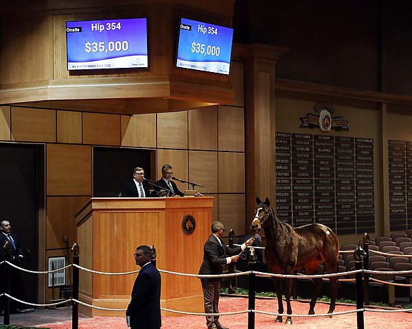 BloodHorse's tweet photo. Sale of Lakerball Benefits Shepherd's House https://t.co/2iURvxCJrC @BH_COser #BHDaily https://t.co/2wx3KqJY6K