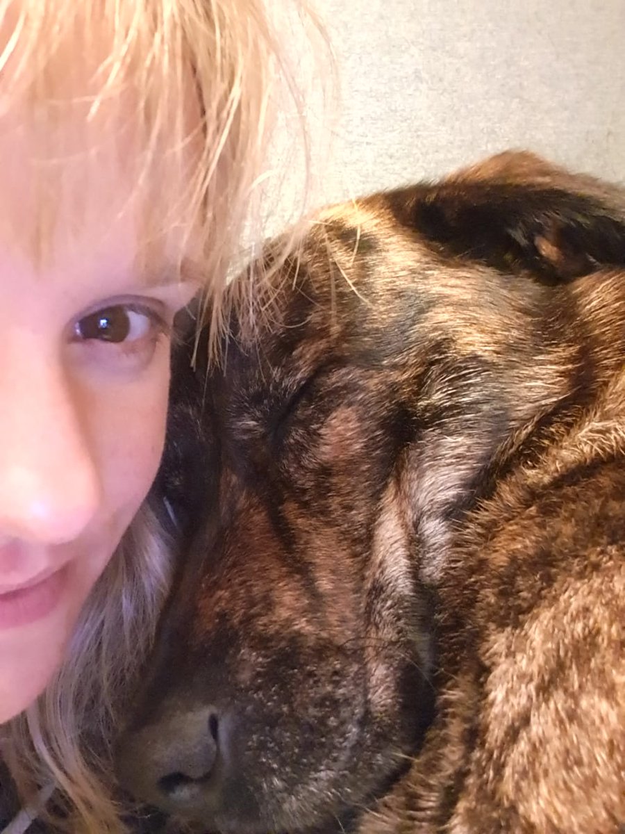 Ist das hier schon wieder spät geworden! 😴
Ich bin jetzt im Land der Träume und wünsche allen eine gute Nacht!😘
#dogdadsofinstagram #ilovedogs #bardina #dogs #selfie #dogsoftwitter