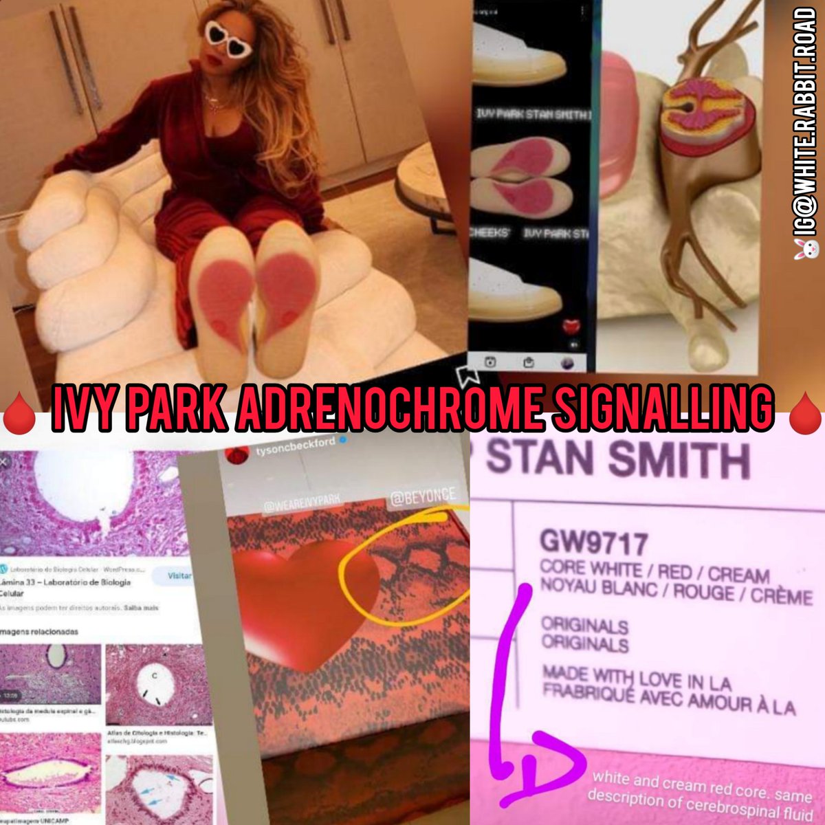 ApocalypseAlic3's tweet photo. Beyonce's Ivy Heart collection is adr3nochrom3 signalling with all the 666 codes, one eye, red, serpent and V for Valentine's day. More like V for Vrill 🐉🐉🐉🐉🐉🐉🐉🐉🐉🐉🐉🐉🐉🐉

#whoisdonaldmarshall #allseeingeye #deepunderground #vrill #illuminati https://t.co/0VzLoRPMbw