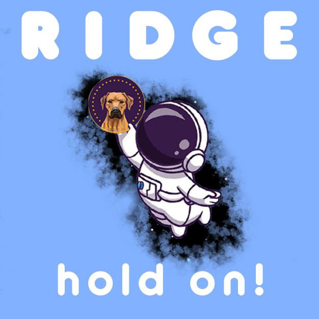 Jenifer34157996's tweet photo. @Shibnobi93 #Ridge just listed on #saitamask is also a nice bet shakur, 5m mc and lots of charity works #Ridge4Charity #RidgebackInu ❤️ 💰 https://t.co/qorHRJxE9j