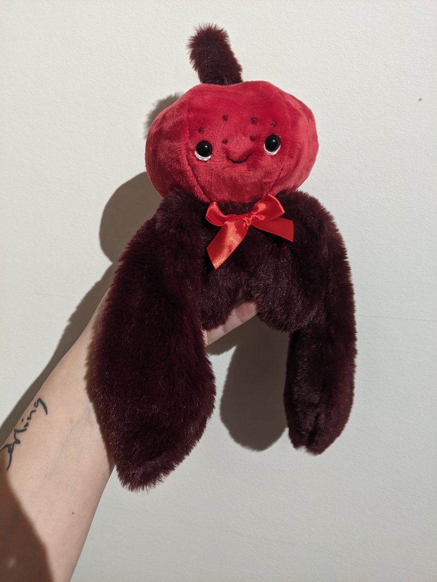 liberty_malley's tweet photo. This is Merlot. 🍷

He will be available in tomorrows update! 

See his little bio below. https://t.co/9pMg6clT6w