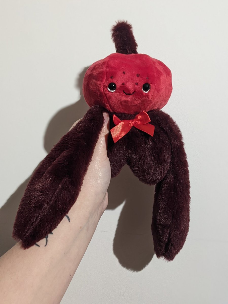 liberty_malley's tweet photo. This is Merlot. 🍷

He will be available in tomorrows update! 

See his little bio below. https://t.co/9pMg6clT6w