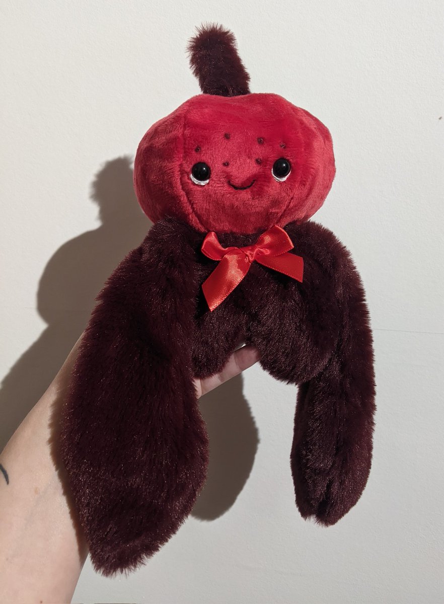 liberty_malley's tweet photo. This is Merlot. 🍷

He will be available in tomorrows update! 

See his little bio below. https://t.co/9pMg6clT6w