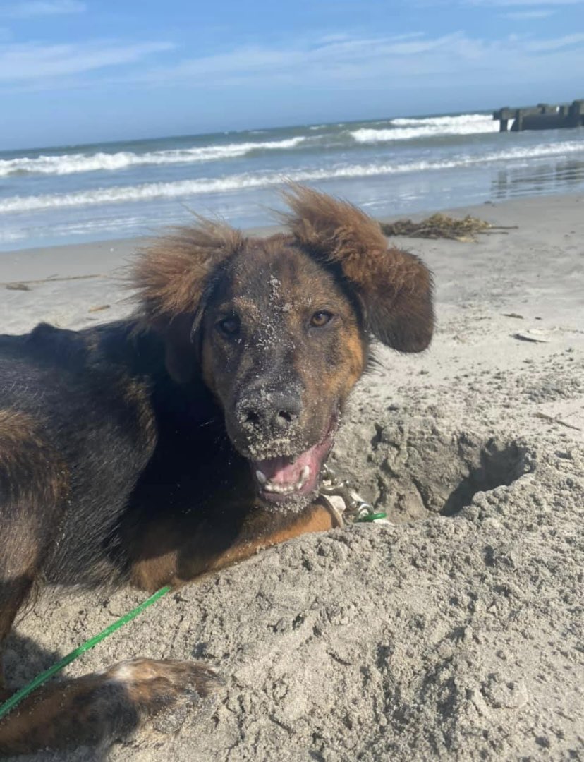 grace wilson tweet media