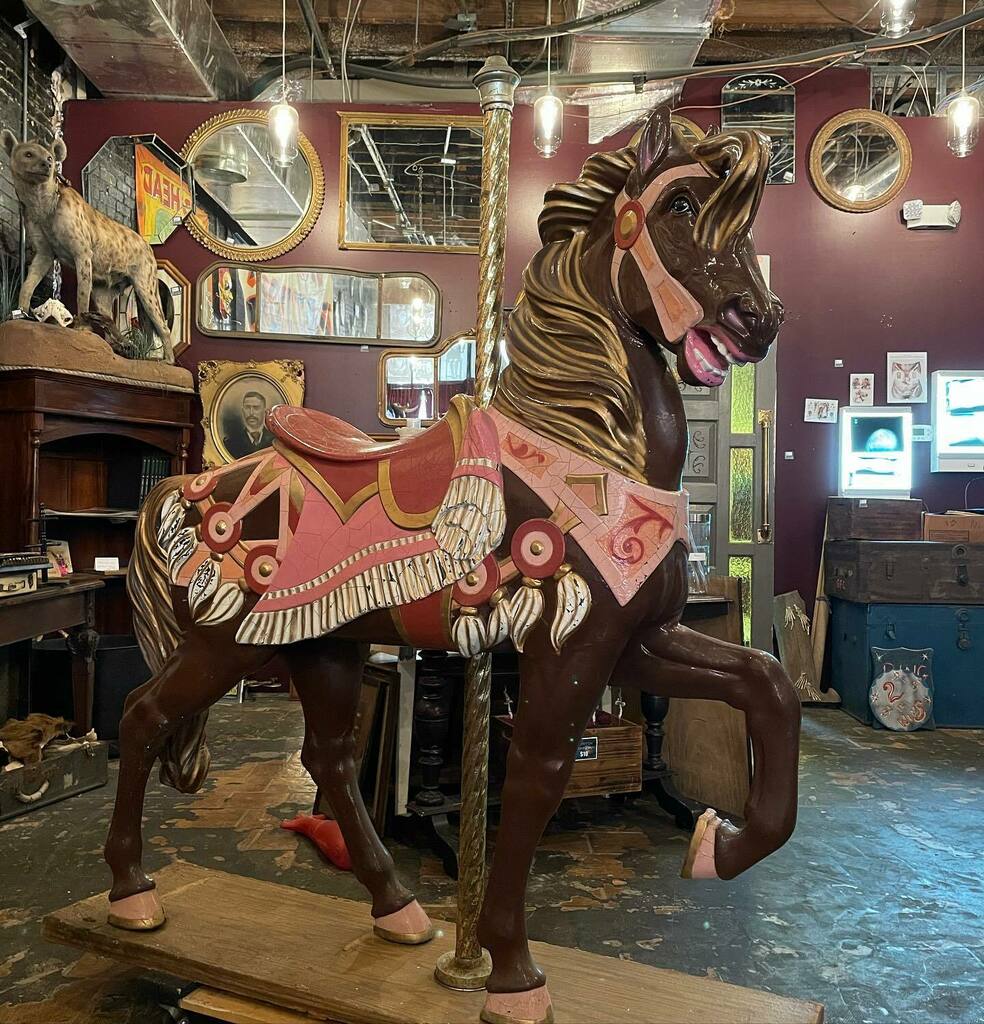 DGArtCo's tweet photo. Open till 5pm today! We have lots of new stuff in the shop. #itsnotforsale #iloveybor #keepyborweird #floridalife #odditiesandcuriosities https://t.co/fASRHAbc0R https://t.co/XK4vrtJ2Db