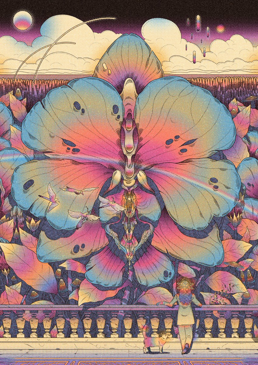 Caramurú tweet media