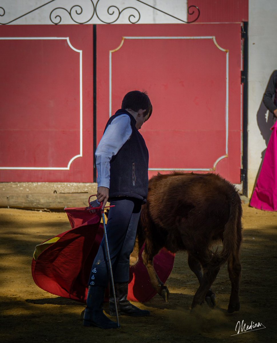 Hoy nuestro amigo y Torero de plata @fotografias_medina, nos deja esta imagen del futuro de la fiesta, en una de las muchas clases practicas .
#bolsintaurino
#escuelastaurinas