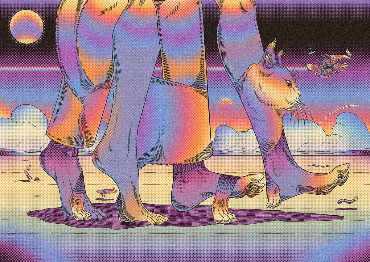 Caramurú tweet media