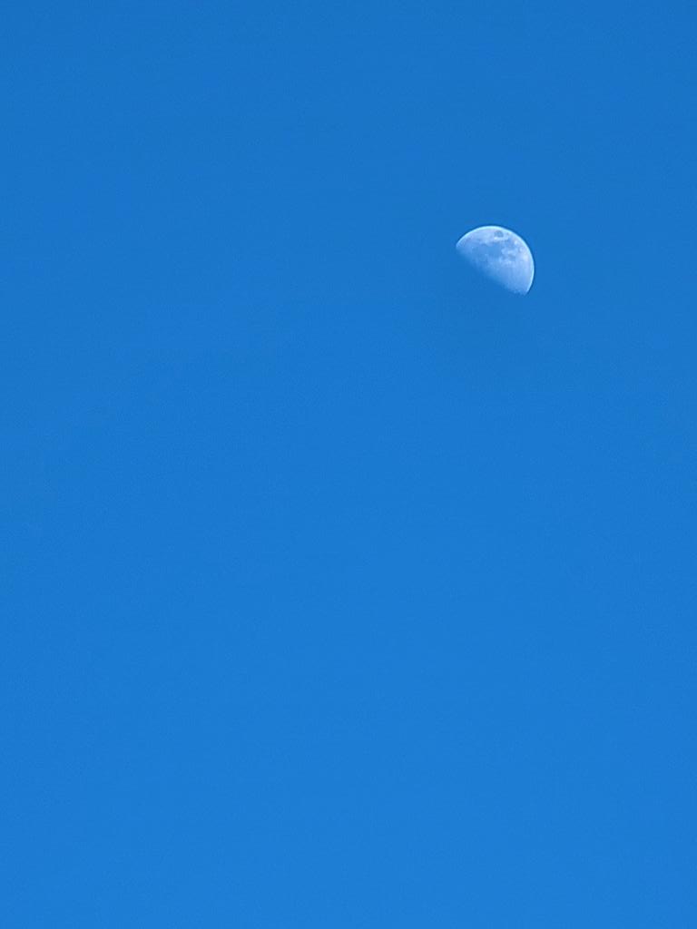 Sandra Bundy tweet media
