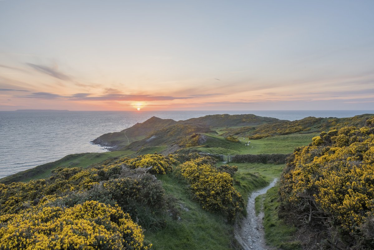nationaltrust's tweet photo. Swap the treadmill for a coastal view and the sea air filling your lungs. 

Inspiring beaches and trail routes by the water are closer than you think: https://t.co/073rZeZCXc https://t.co/B9ykvFAdCi