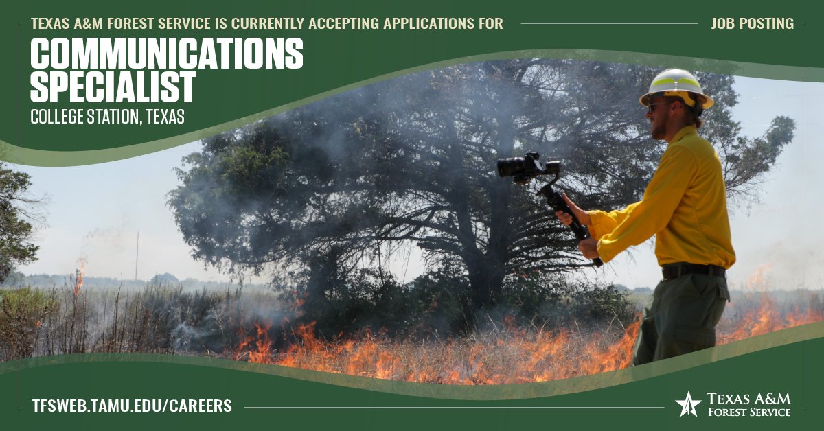 TXForestService's tweet image. Texas A&amp;amp;M Forest Service is hiring a Communications Specialist! Learn more about the position and apply here: bit.ly/3J9kbFB