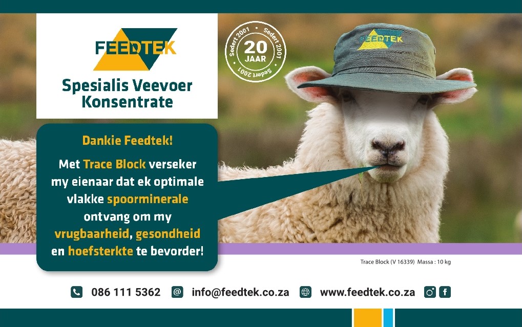 Veeplaas1's tweet photo. Die reënseisoen word ongelukkig ook met siektes soos vrotpootjie geassosieer. Met #TraceBlock van #Feedtek kan jy verseker dat jou kudde die optimale vlakke van spoorminerale ontvang wat hoefsterkte bevorder. Lees op @AgriOrbit oor #vrotpootjie: https://t.co/2okwqmBKOf https://t.co/uEzuCH5eRK