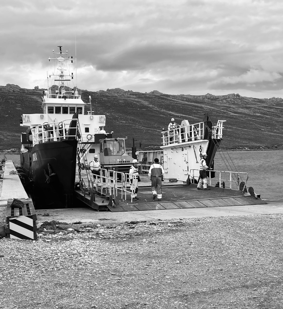 justin_westside's tweet image. Bit of early morning #shepherding with Texas to catch the ferry with #sheep365 #islandlife