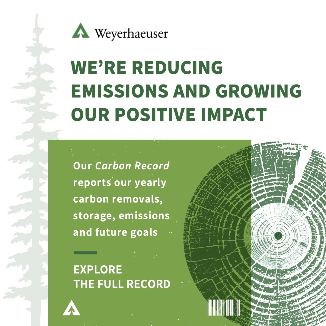 Weyerhaeuser's tweet photo. Our Carbon Record details our yearly carbon removals, storage, emissions and future goals. Explore the record to learn how we sequester and store carbon in our working forests and wood products. [https://t.co/zvTKbKKhYM] #sustainableforestry #carbonnegative https://t.co/8516QGKStq