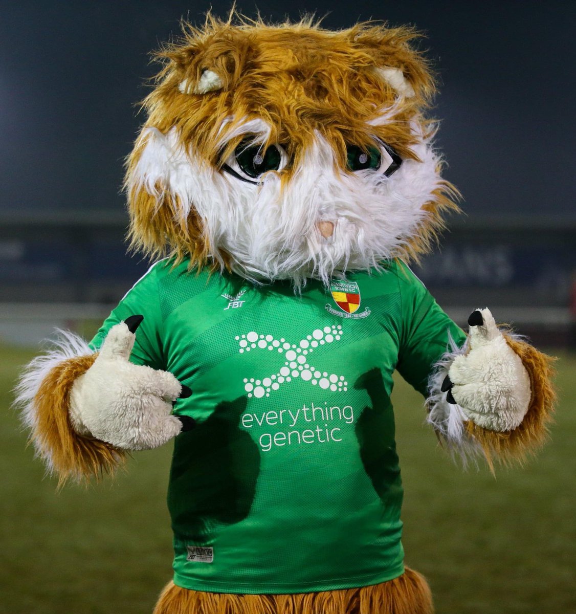 Nantwich Town FC tweet media