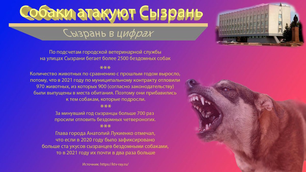 SergeyZF's tweet photo. @Khinshtein Обратите внимание на Сызрань, собак очень много, власть не реагирует... https://t.co/pWmLJFlt4b