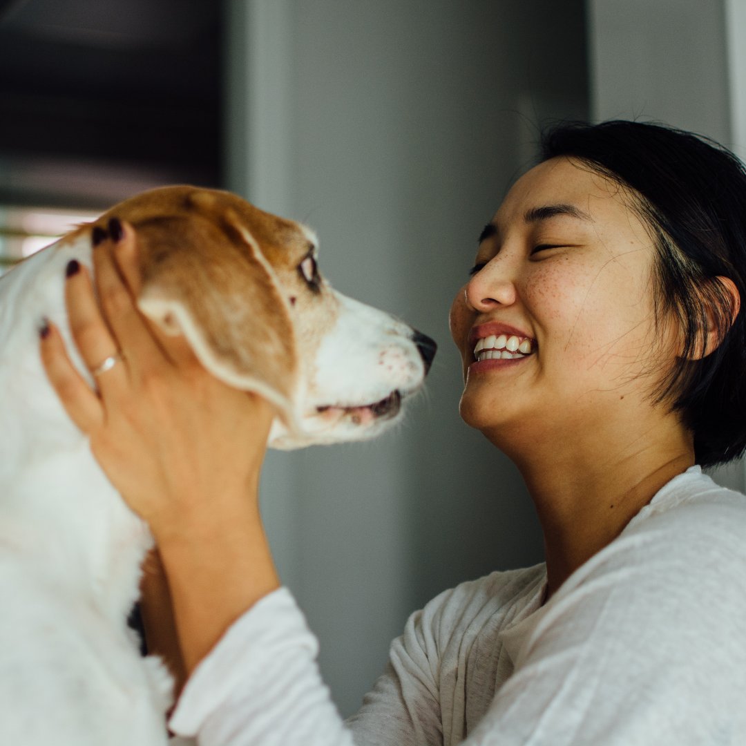 Raise your hand if your furry friend makes you smile bigger than anyone else 🙋‍♀️🐶 bit.ly/3Jciwze