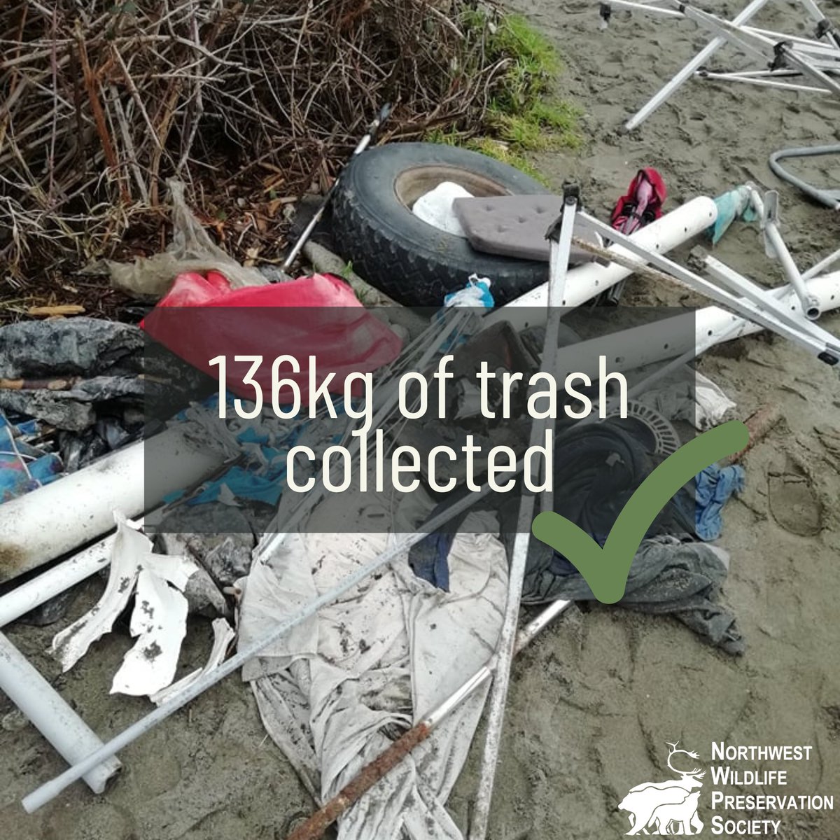 nwpsHQ's tweet photo. Thank you to everyone who came and helped out at the #beachcleanup at Wreck Beach! 🗑✅

As a team, we collected 136kg of trash! That’s amazing! ⭐️ If you couldn’t make it, don't worry as we plan to have many more clean-ups in the future. Keep an eye out for our next event! https://t.co/cG0HJAp02J