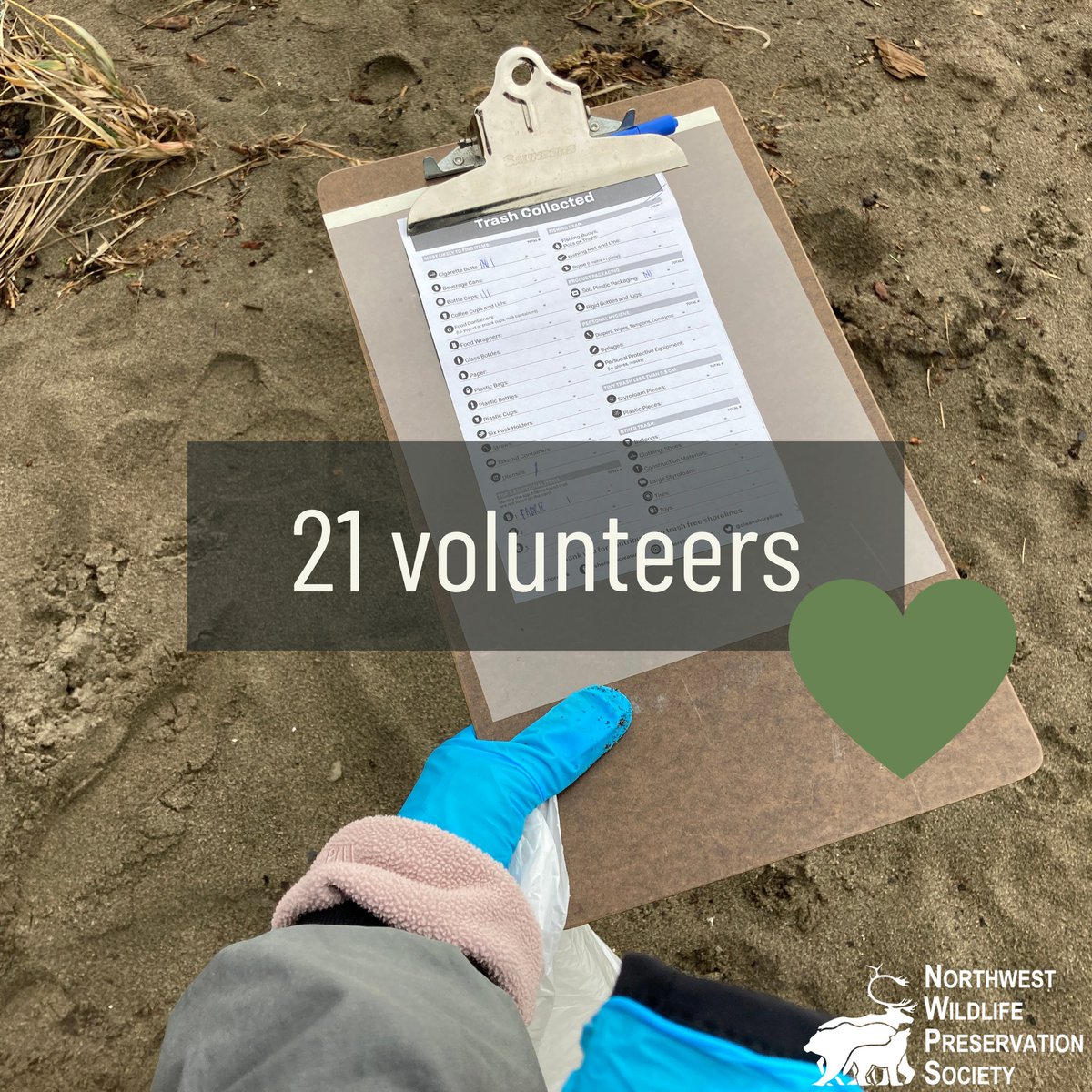 nwpsHQ's tweet photo. Thank you to everyone who came and helped out at the #beachcleanup at Wreck Beach! 🗑✅

As a team, we collected 136kg of trash! That’s amazing! ⭐️ If you couldn’t make it, don't worry as we plan to have many more clean-ups in the future. Keep an eye out for our next event! https://t.co/cG0HJAp02J