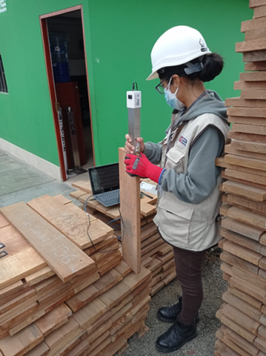 uwnews's tweet photo. The new Center for Environmental Forensic Science will work globally to help stop illegal poaching and harvesting of ivory, timber, fishing stocks and more.

@UWCEFS @UWArtSci 

Read more: https://t.co/EkuiNknYhH https://t.co/yd9Xbl1naG