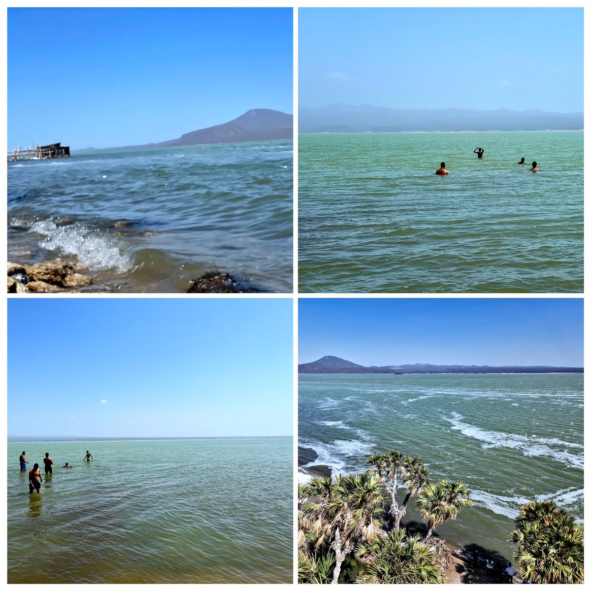 GMirafe's tweet photo. stunning landscape diversity of #Afar #Ethiopia! b/n #Semera and #Ertale lies a lake with an ocean vibe to dip in, a hot spring to cleanse the soul, white sand “beach”, volcanic rock mountains that turn to green shrubs, a hypnotic volcano, deep green/blue craters of #Allolobad https://t.co/7PJEnXy2Uk