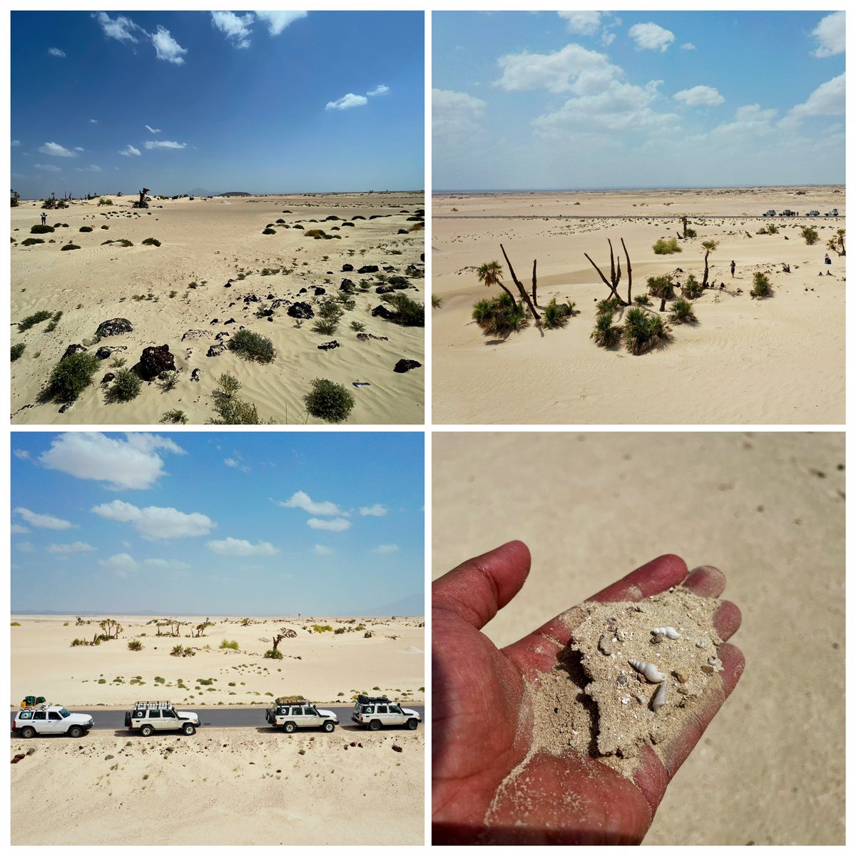 GMirafe's tweet photo. stunning landscape diversity of #Afar #Ethiopia! b/n #Semera and #Ertale lies a lake with an ocean vibe to dip in, a hot spring to cleanse the soul, white sand “beach”, volcanic rock mountains that turn to green shrubs, a hypnotic volcano, deep green/blue craters of #Allolobad https://t.co/7PJEnXy2Uk