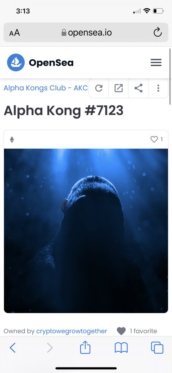 sibcatonsol's tweet photo. Please make its as your favorite in opensea @AlphaKongsClub  

Feb 11th its gonna reveal🍾🍾🍾 https://t.co/smxpzBPj73
