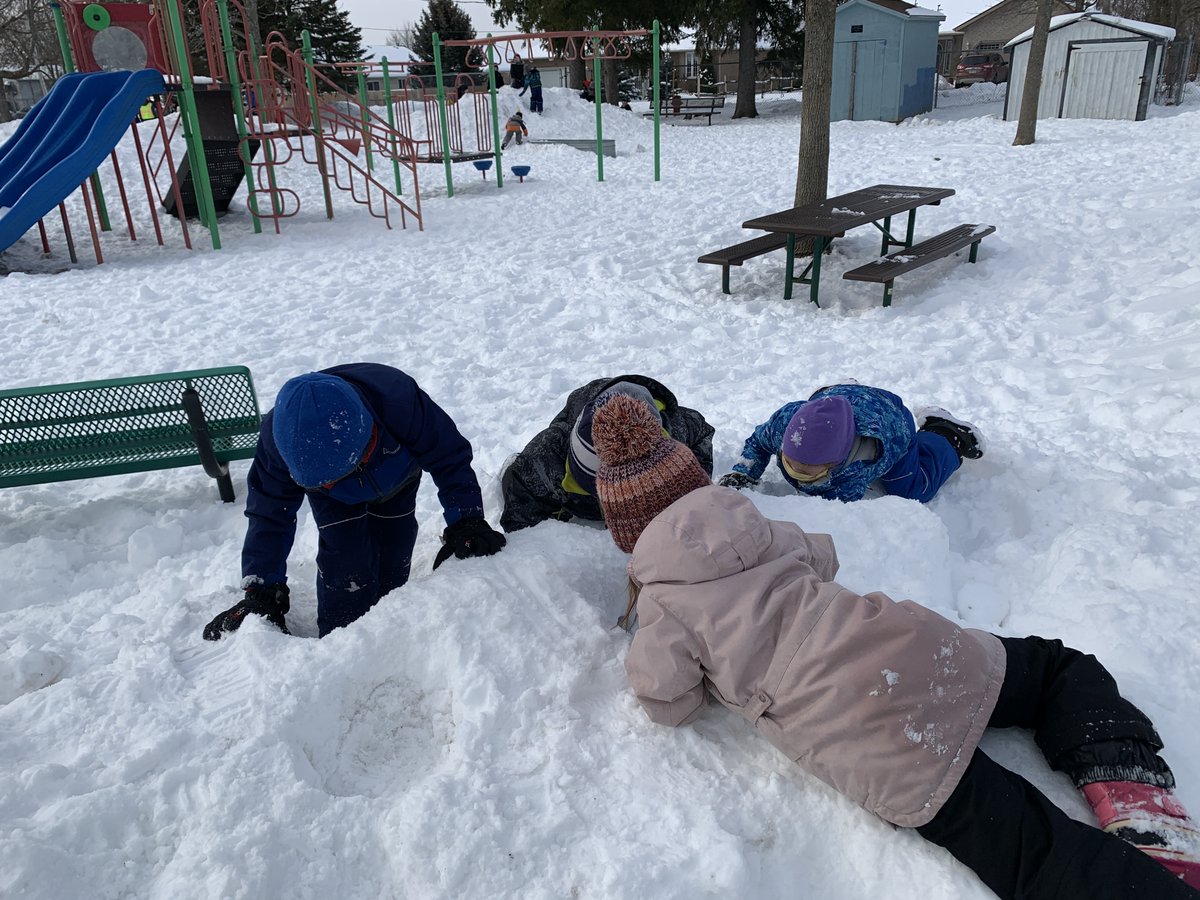 Nicole Voisin tweet media