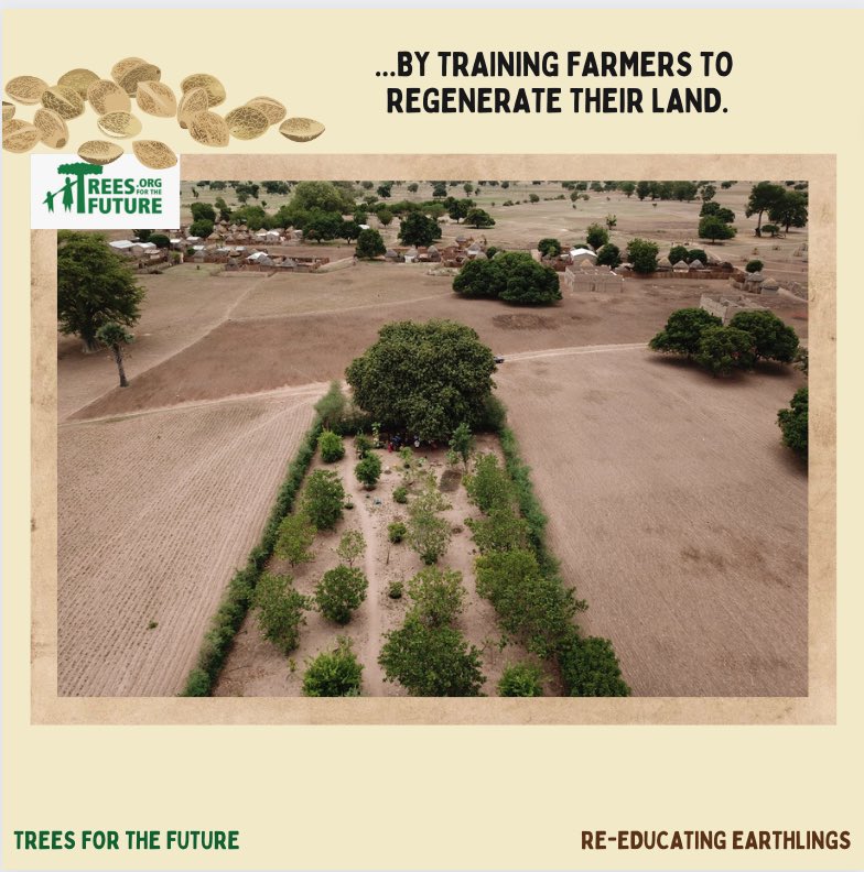 EarthlingsRe's tweet photo. @Treesftf we couldn’t be happier to be an ambassador for you! We fully believe that planting trees can change peoples lives &amp; cannot wait to share your work and impact further! 🌱🙏🏼🌳 https://t.co/fA8MaMmRBt