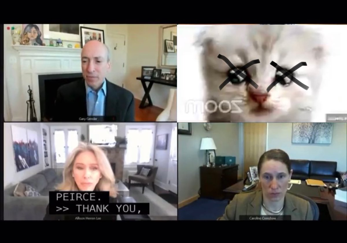 SlickShotThat's tweet photo. $AMC $GME 

Looks like there’s only one #deadcat around here…and that’s #HesterPierce 

#AMC #GME #deadpools #transparency #FireHesterPierce https://t.co/hTei50j2KP
