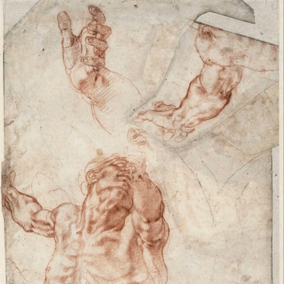 AddisonJ99's tweet photo. Life drawing master study assignment.
This piece was inspired by Michelangelo
#classical #classicalart #michelangelo #renaissance #renaissanceart #life #lifedrawing #art #artist #class #artclass #school #artschool #college #artcollege #draw #drawingsketch #drawingoftheday https://t.co/aPwhOq0Jgd