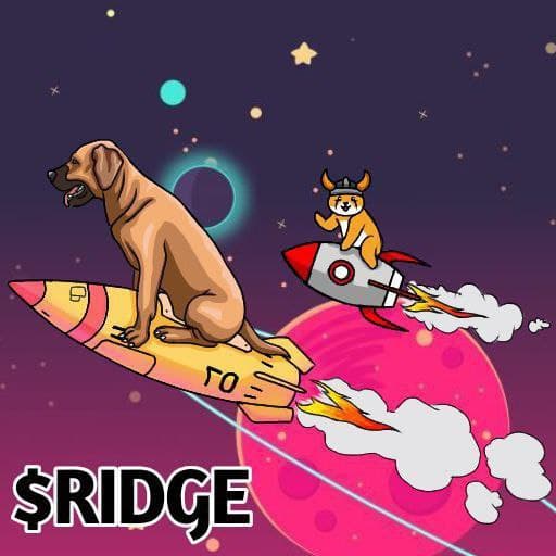003Mega's tweet photo. @davidgokhshtein #Ridge the team has consistently delivered and helped several tokens improve their utilities. They have worked together with one aim in mind, to become a serious token with multiple use cases for a better and greater decentralized crypto community.#ridge4charity #ridgenation 🚀🚀 https://t.co/uolKvEdUs9