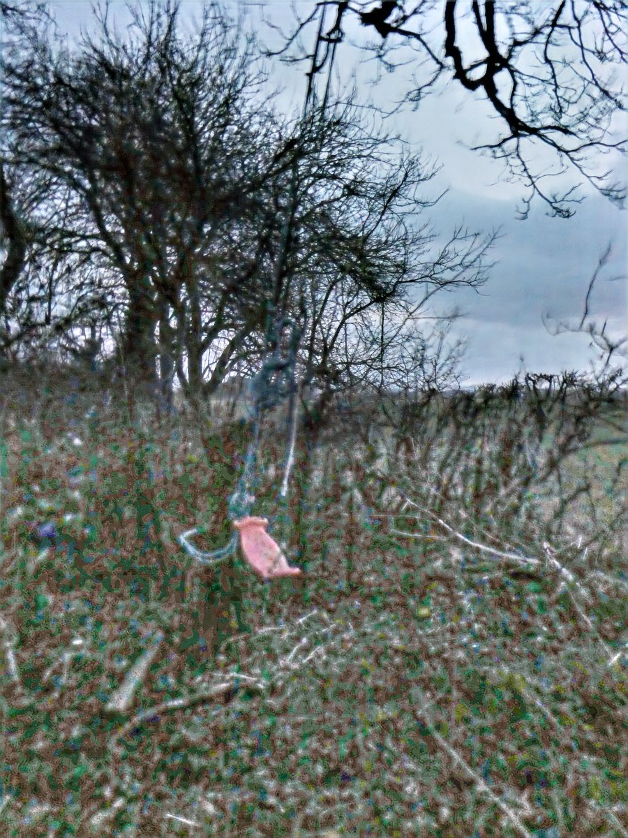 imageamigo's tweet photo. @Katywing we've detected a photo that may be too dark, so we fixed that for you! hope you like it! use AI to intelligently brighten photos for free at https://t.co/JiMBsEEAKa https://t.co/D1Hx66S6r7