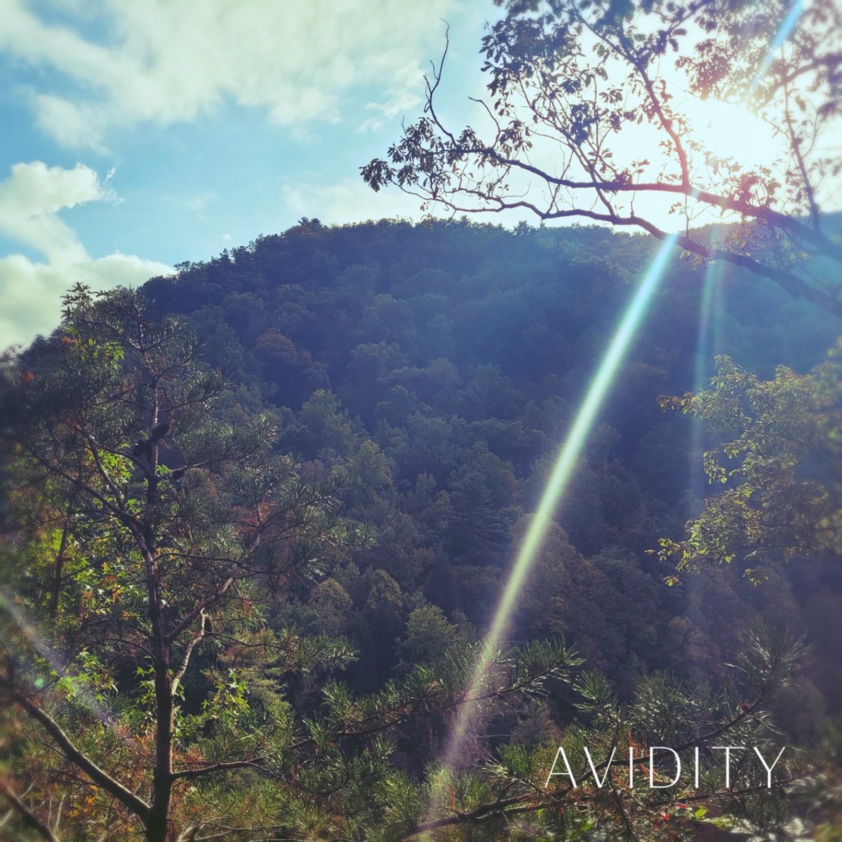 swamp_step's tweet photo. As promised, here’s that new heat from AVIDITY!

https://t.co/L4Iwkkp1TP https://t.co/bKdueJ6C2u
