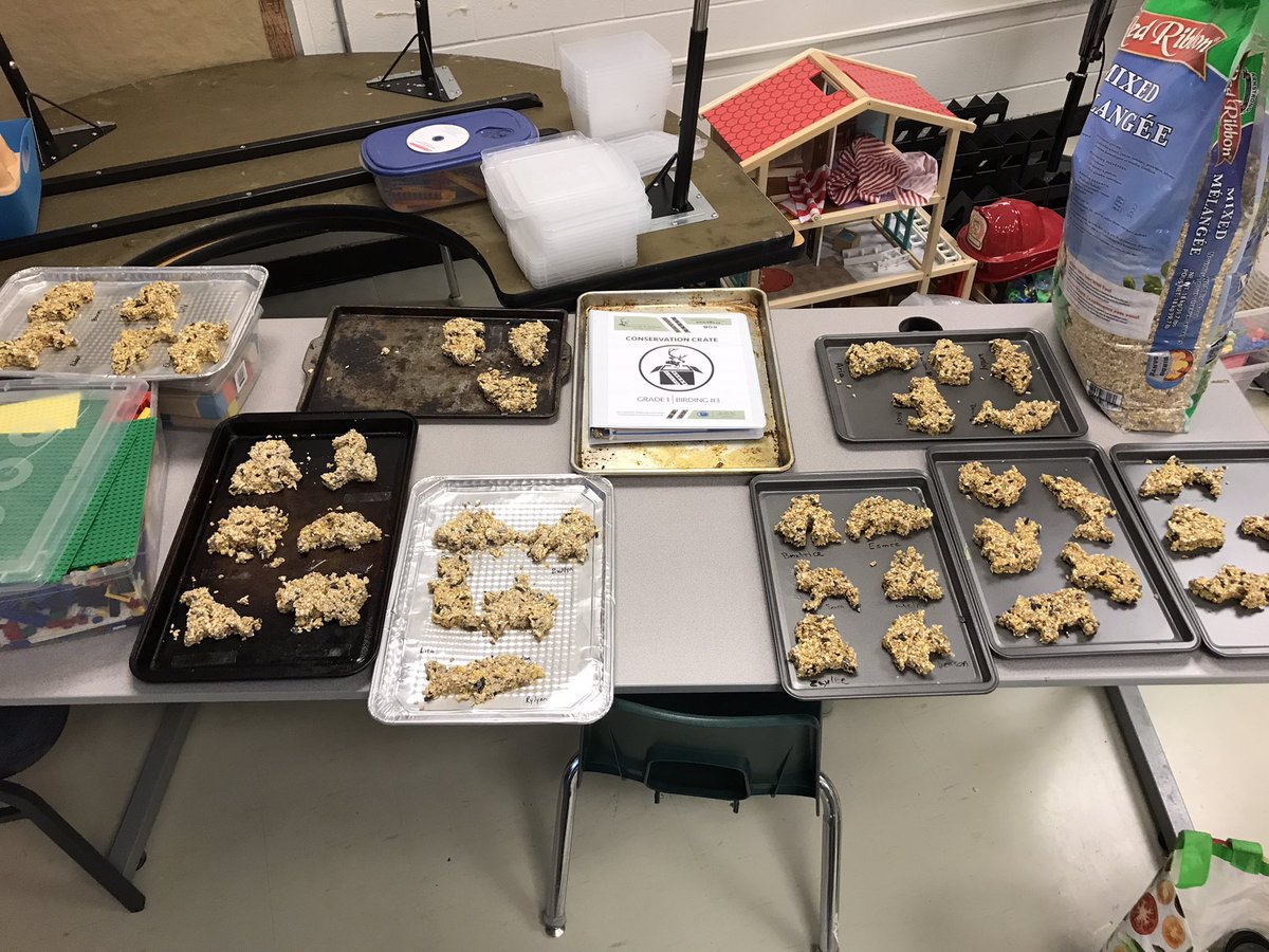 Carlie Butzer tweet media