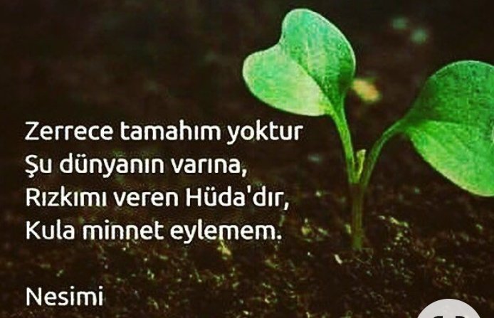 Gulcan D.Derin (@gulcanderinn) on Twitter photo 