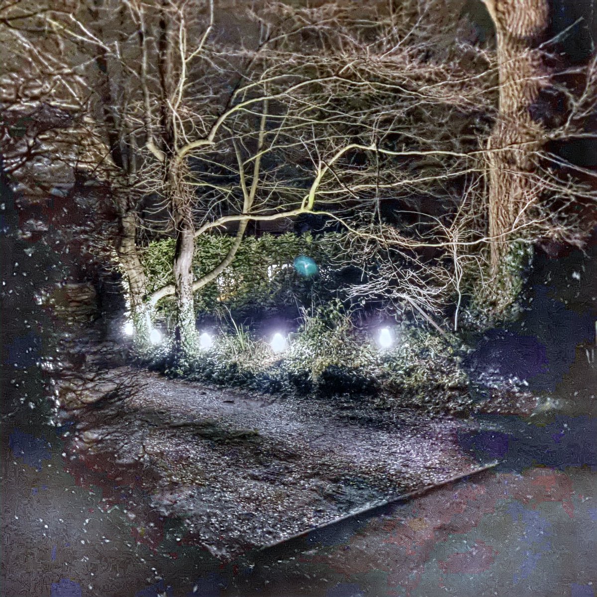 imageamigo's tweet photo. @joycemaryj we've detected a photo that may be too dark, so we fixed that for you! hope you like it! use AI to intelligently brighten photos for free at https://t.co/JiMBsEEAKa https://t.co/rhv2NMxNpA