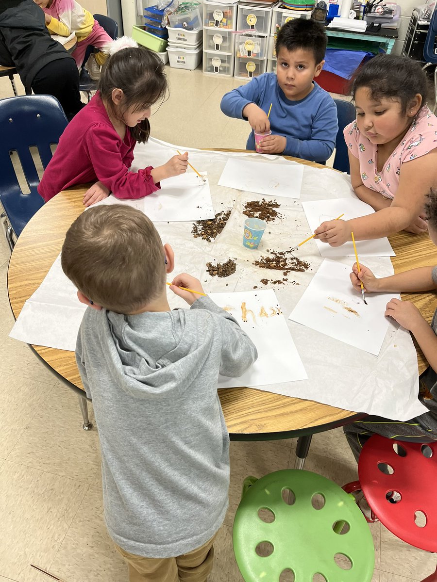 Christy Cook tweet media