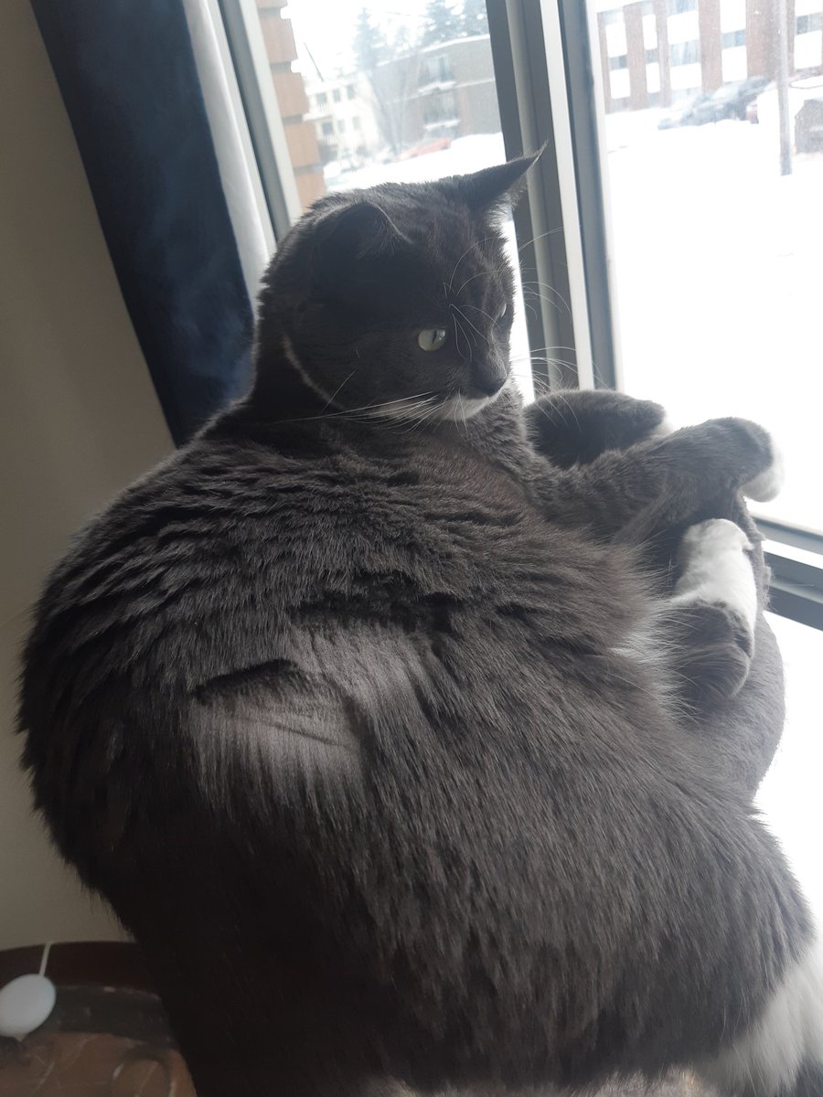 It's supposed to be a lightning bolt.