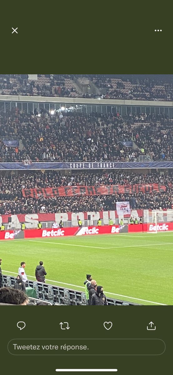 Daniel Riolo tweet media