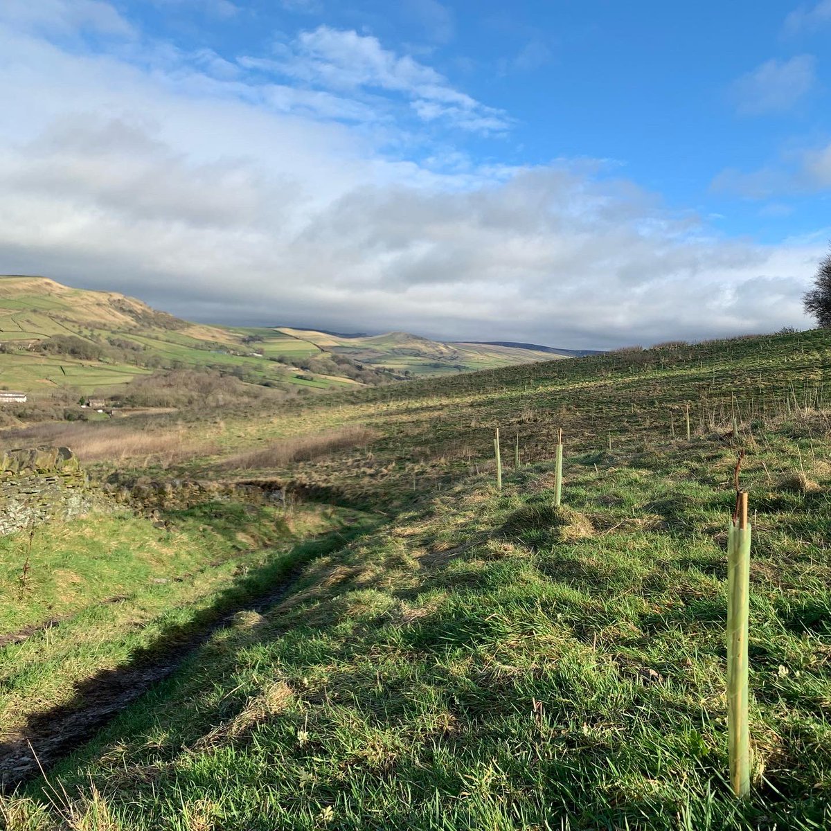 sunartfields tweet media