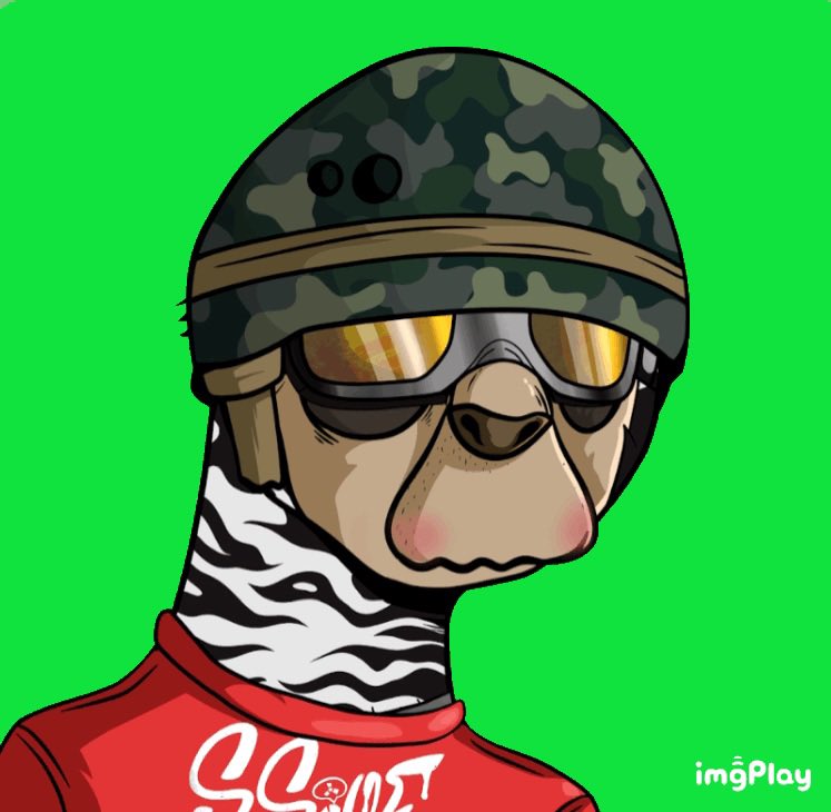 SPONGE21 tweet media