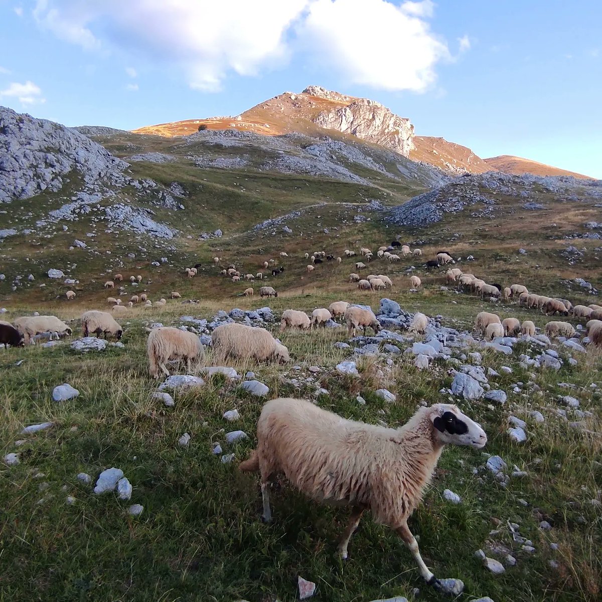 We create authentic experiences that travellers cannot find in any guidebook! 
Check out different activities we offer and start planning your vacation! 🏞⛰🌊
➡️Agency Visit Konjic
🖥visitkonjic.com
📧info@visitkonjic.com
☎️+387 62 922 992
📞+387 61 072 027

#visitkonjic