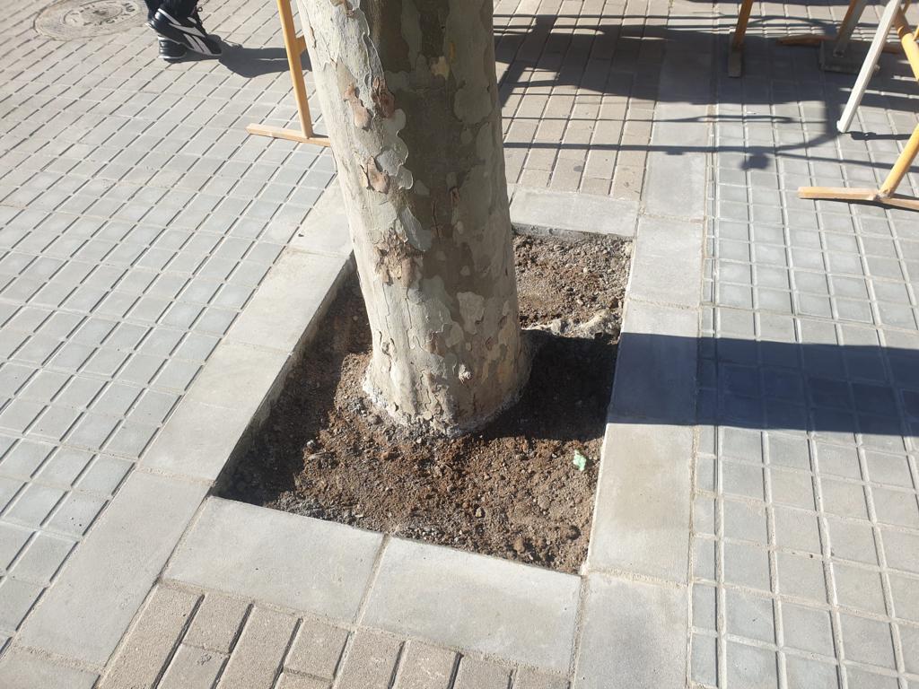 JCemerito's tweet photo. @BarridelR @MFoxbdn @tonymorsan @aracelicruz58 @rotrenado @AidaLlaurado El que es veu a la foto deu ser l'aigua amb restes (mínimes de ciment) per esbandir els estris. L'arbre no ha estat cimentat, avui estava així https://t.co/ytgBPzVEBG