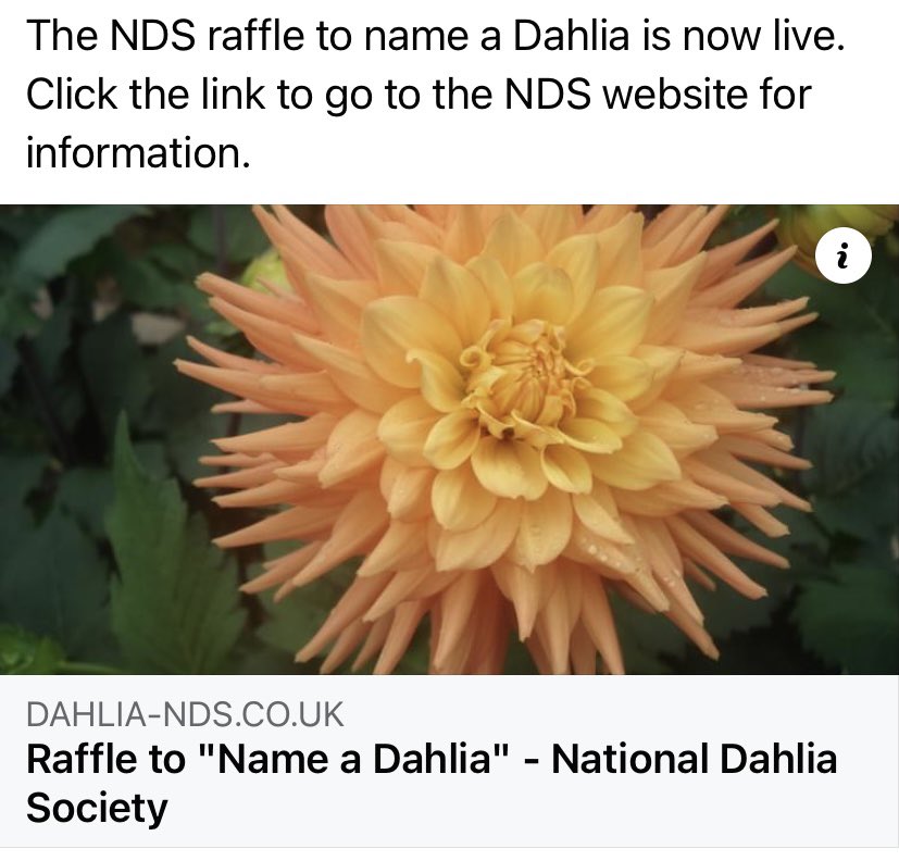 Andrew Robinson tweet media