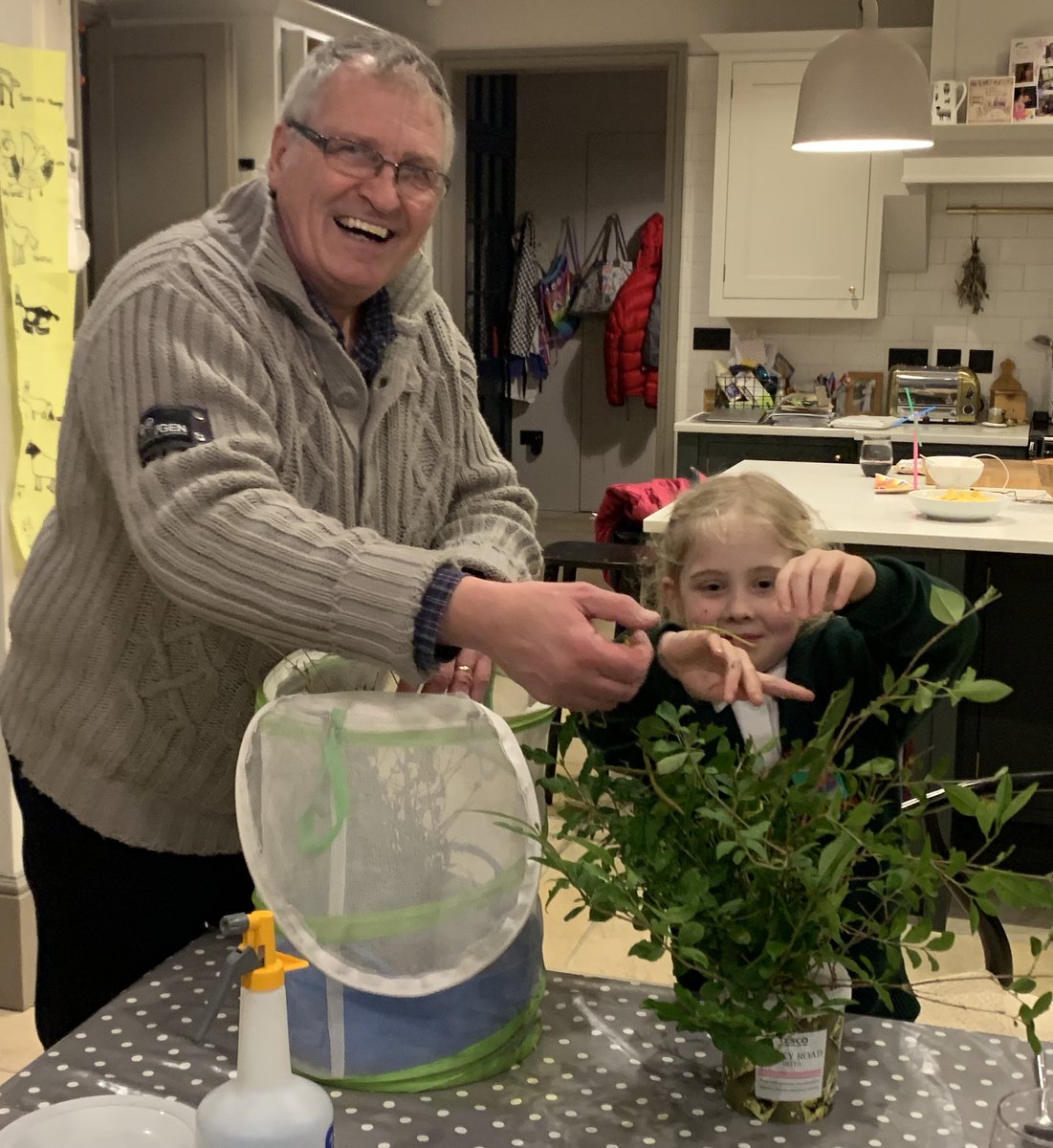 rachelevatt's tweet photo. @AliDriverUK shares some tips on keeping stick insects with our daughter. Including when you have too many in one net! What fun! https://t.co/y8wk1HuKMy